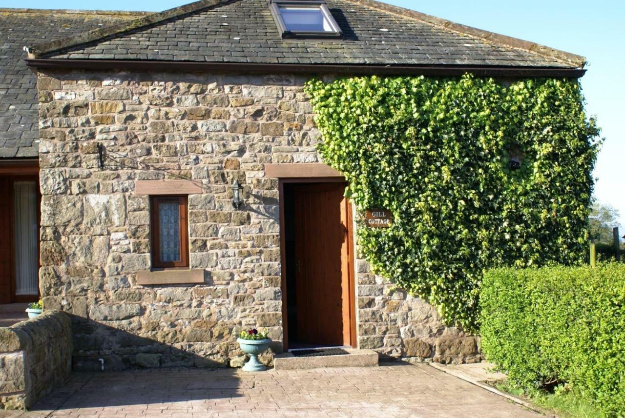 Gill Cottage Castle Carrock Eksteriør bilde